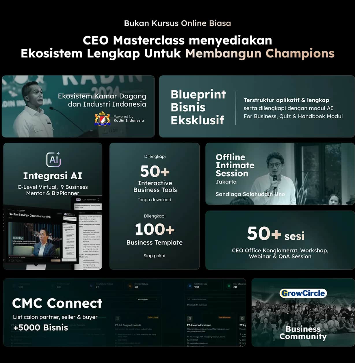 CEO Masterclass Ecosystem