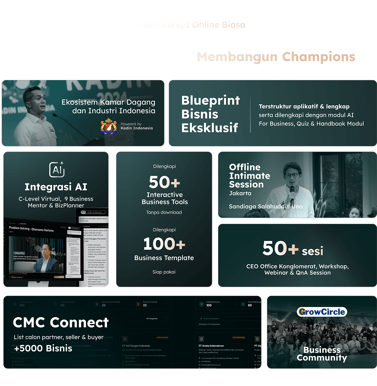 CEO Masterclass Ecosystem